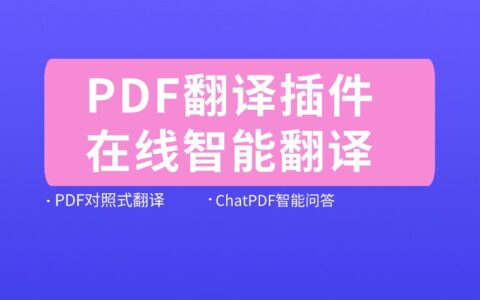 有能翻译PDF的翻译插件吗？具体有哪些功能？